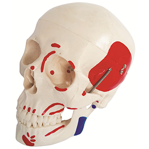 SG-104B KAFATASI MAKETİ