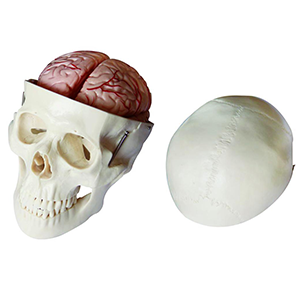 SG-104E  KAFATASI MAKETİ